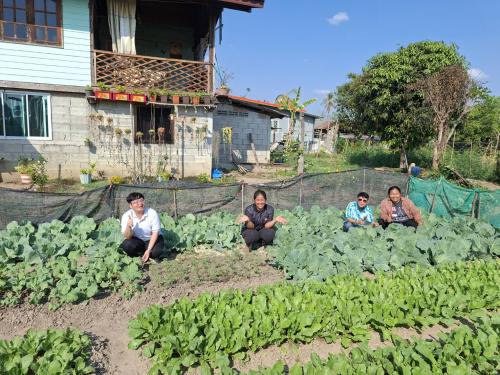 🎯 LKB Model  🎯(Learn-Knowledge-Best Practice)  พช.ลานกระบือ ขับเคลื่อนกิจกรรมการน้อมนำแนวพระราชดำริของสมเด็จพระกนิษฐาธิราชเจ้า กรมสมเด็จพระเทพรัตนราชสุดา สยามบรมราชกุมารี สู่ปฏิบัติการปลูกผักสวนครัว เพื่อสร้างความมั่นคงทางอาหาร ประจำปีงบประมาณ พ.ศ. 2569 ภายใต้แนวคิด "ปรับเปลี่ยนดี ชีวีมีสุข" (Change For 5G Plus)